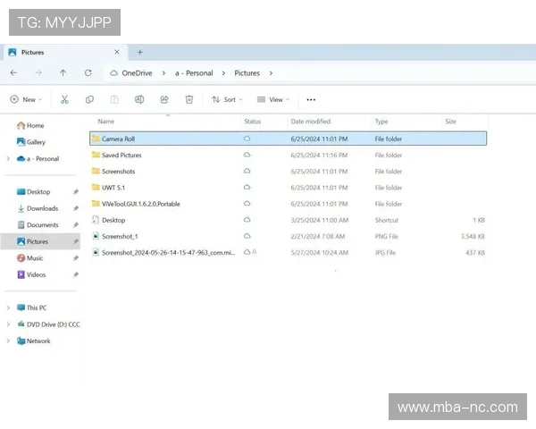 playace官网用户评价与反馈分析帮助新用户选择合适游戏
